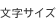 文字サイズ